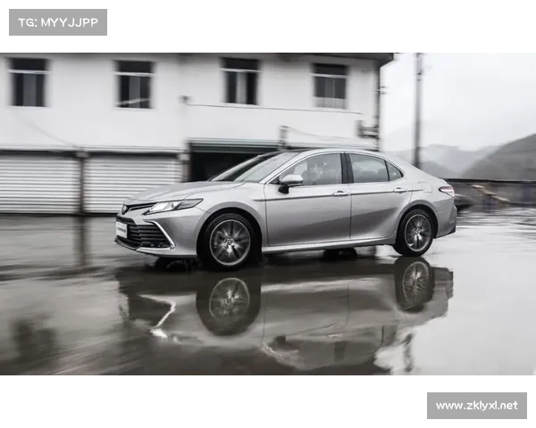 以弗兰为核心的多球员技术特点全面对比与战术价值深度解析全景研究